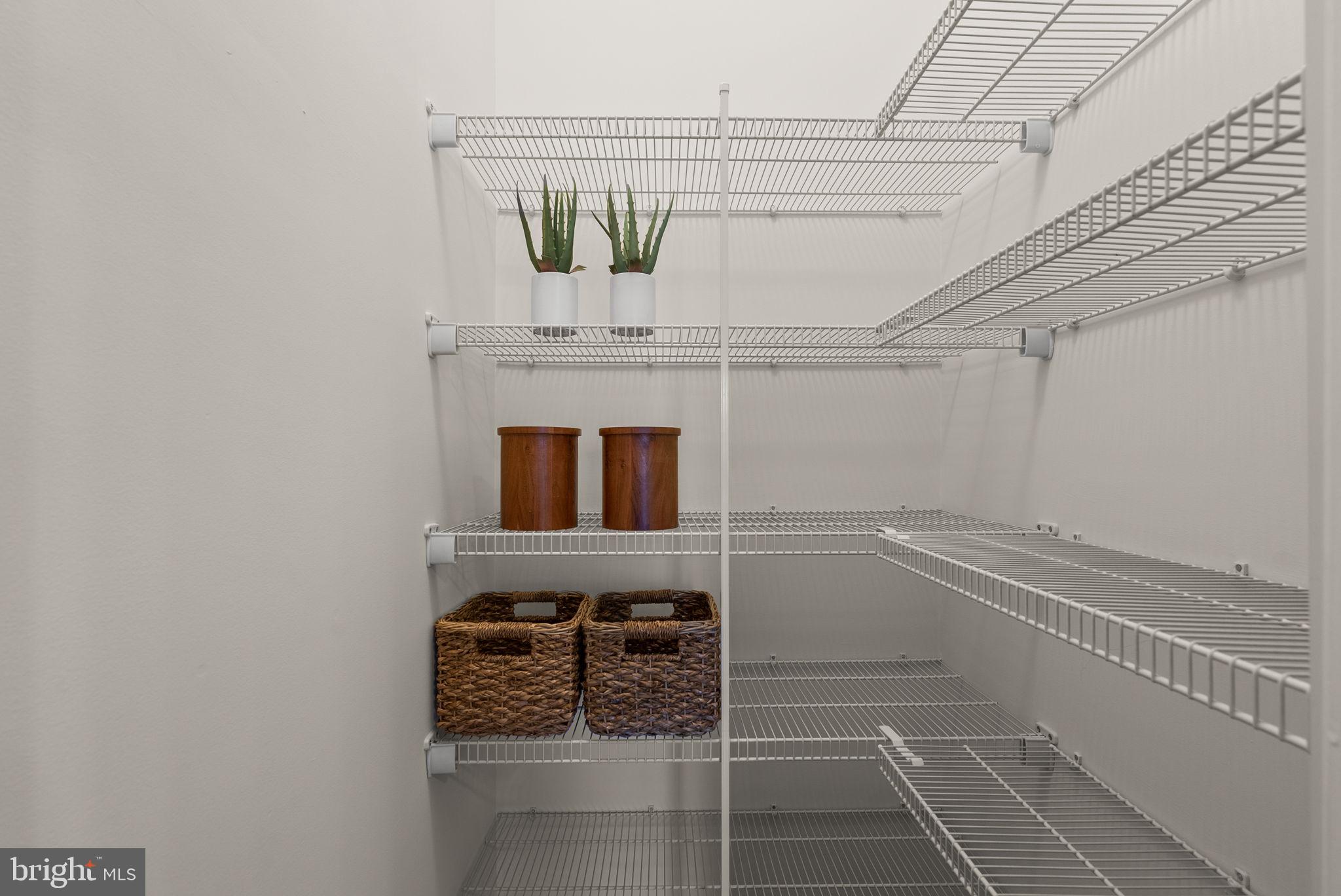 BLUE STREAM - Residential