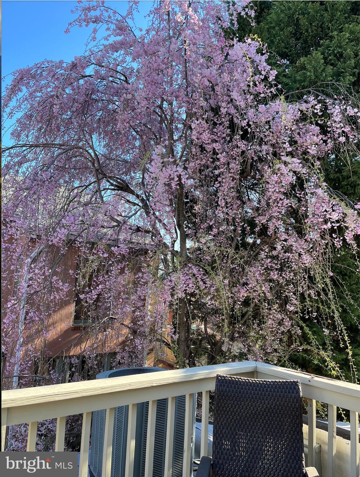 QUEEN VILLAGE - Residential