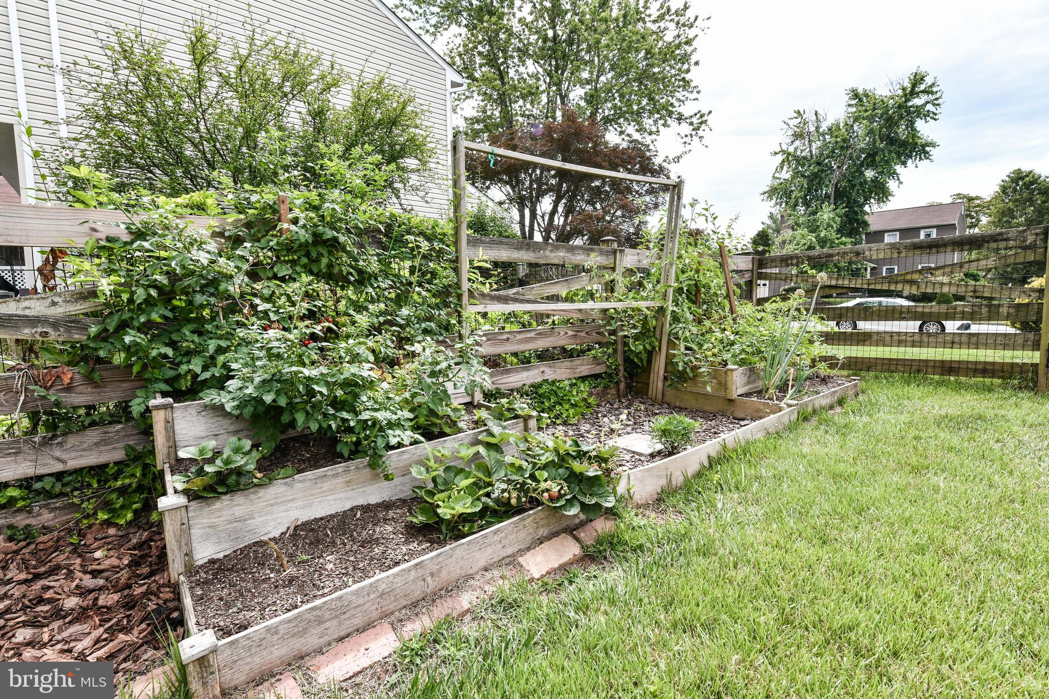 GREAT FALLS FOREST - Residential Lease