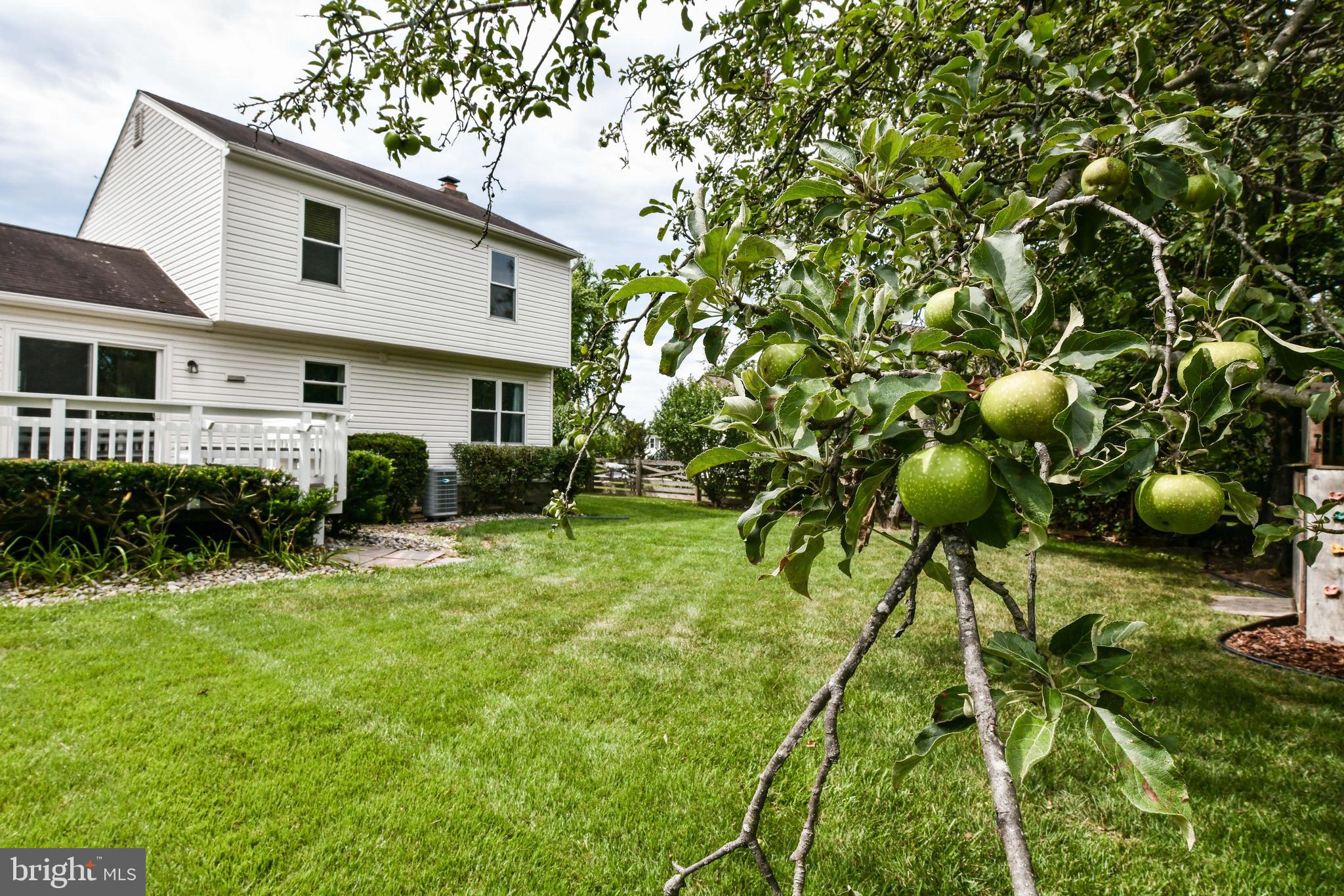 GREAT FALLS FOREST - Residential Lease