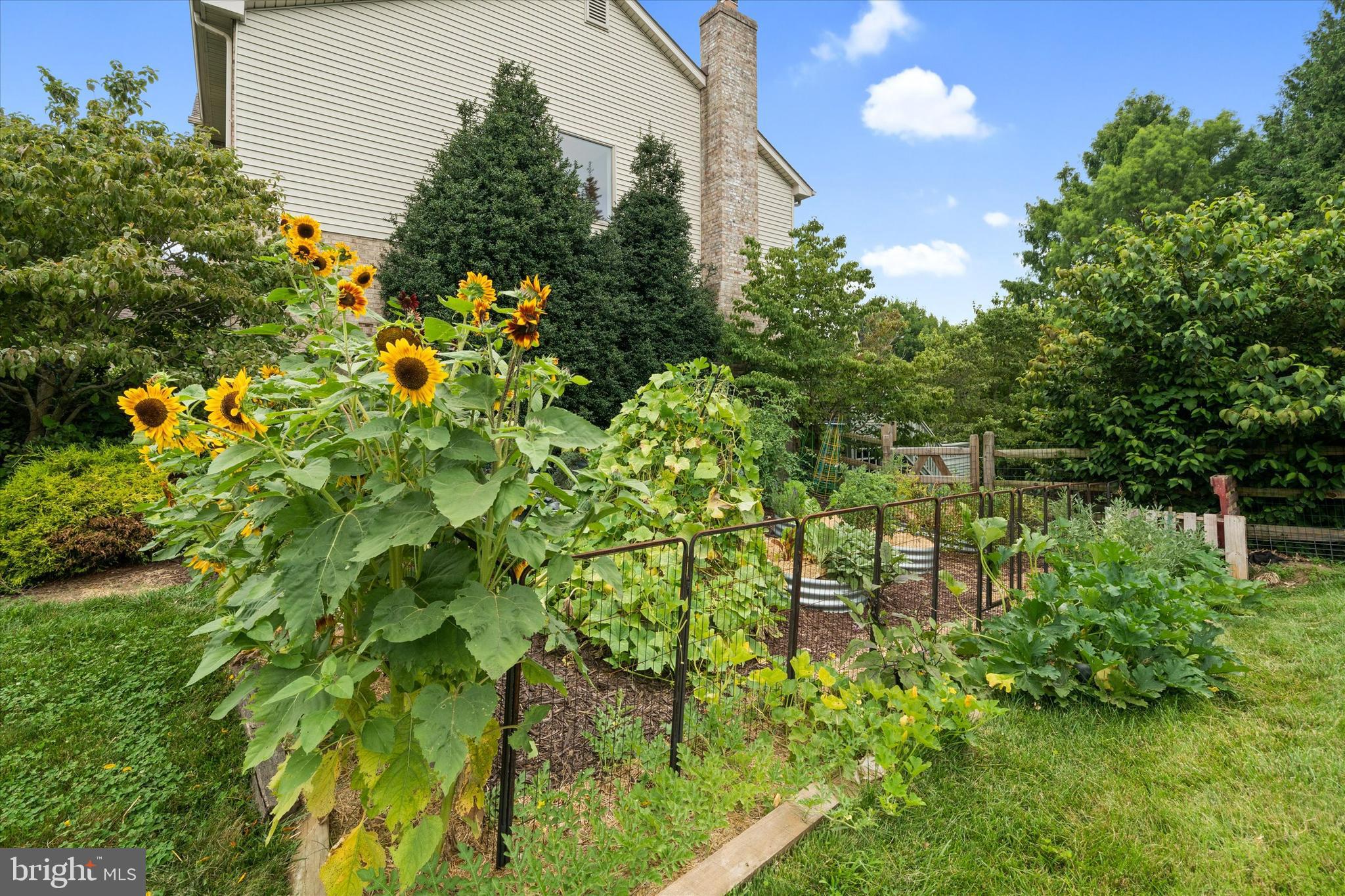 317 DETJEN DRIVE