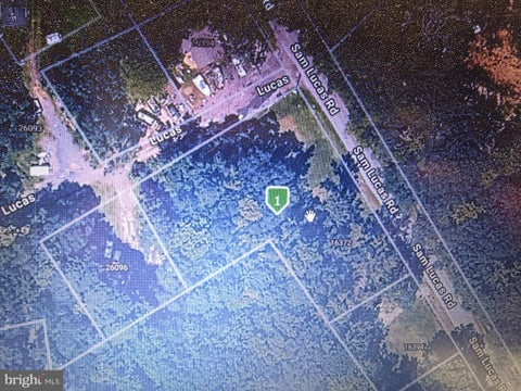 Vacant Land For Sale - 16372 Sam Lucas Road<br/> MILTON, DE 19968