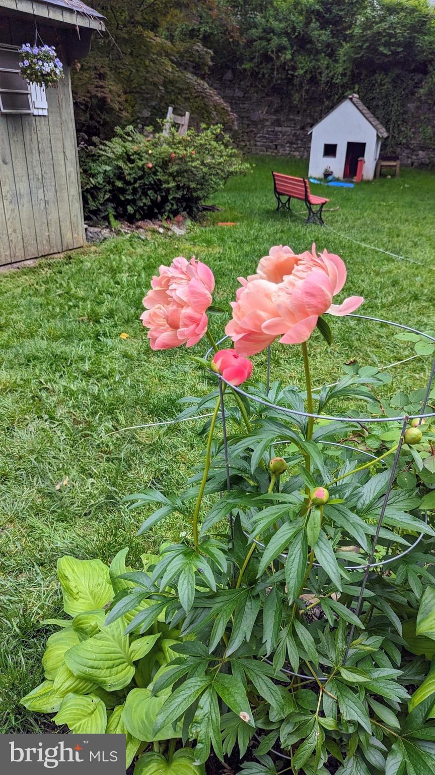 CHATHAM PARK - Residential