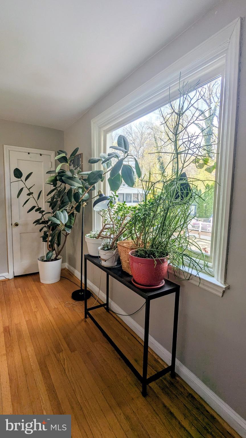 CHATHAM PARK - Residential