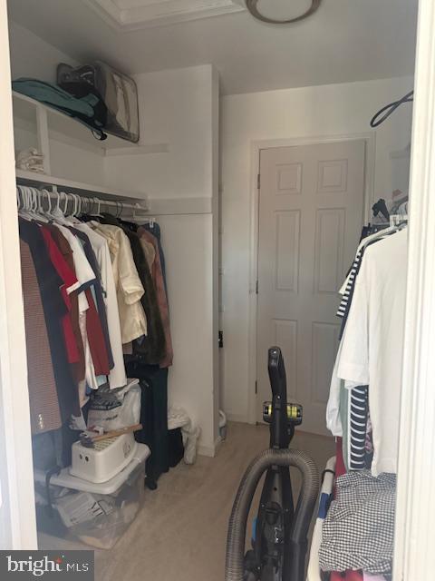 CARDINAL FOREST - Residential