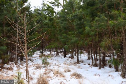 Vacant Land For Sale - Jutland Road<br/> SAINT INIGOES, MD 20684