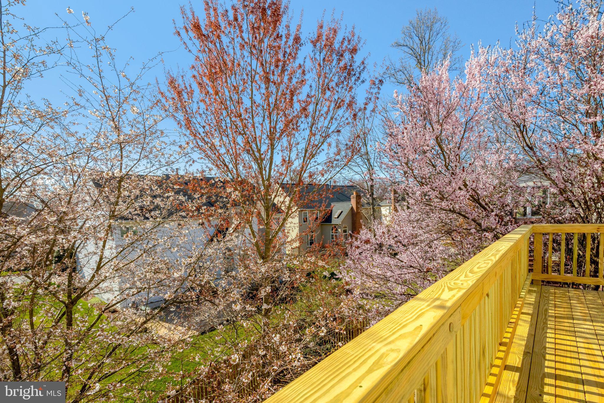 CROSSPOINTE - Residential