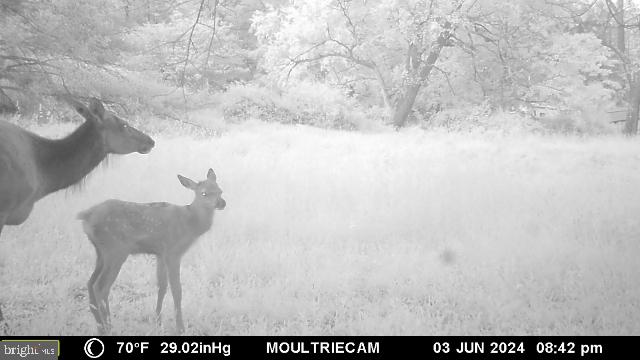 LOT E FLANDERS SUBDIVISION