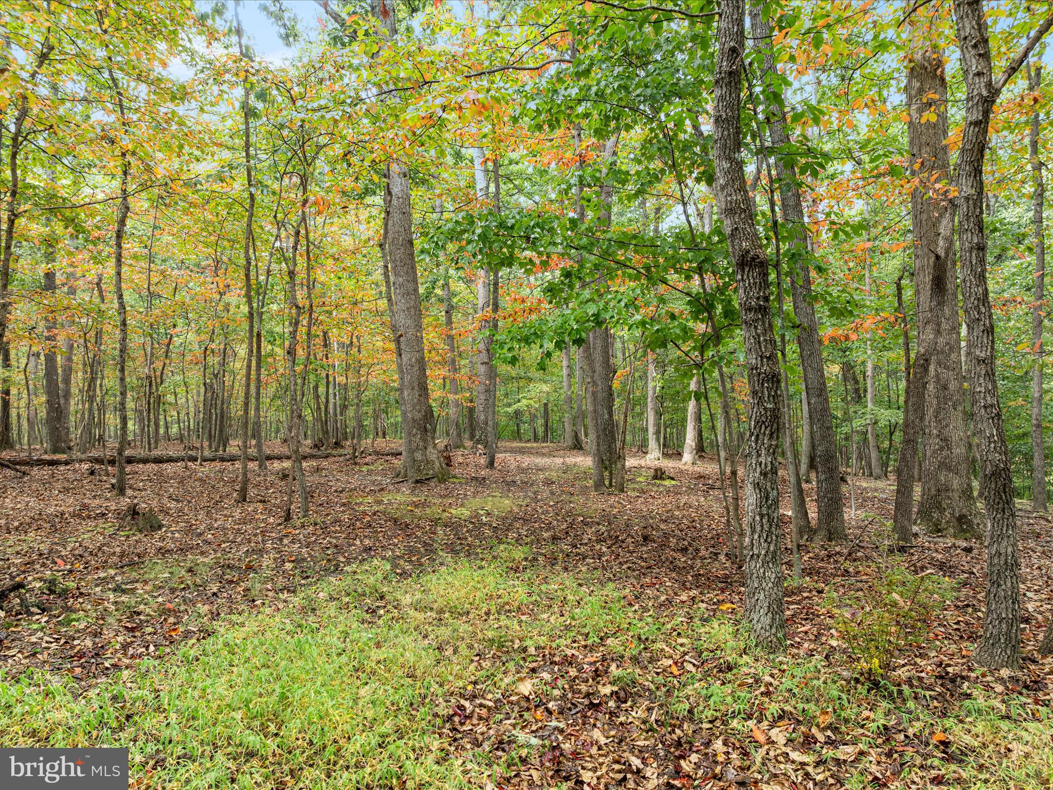 ROUND TOP ESTATES - Land