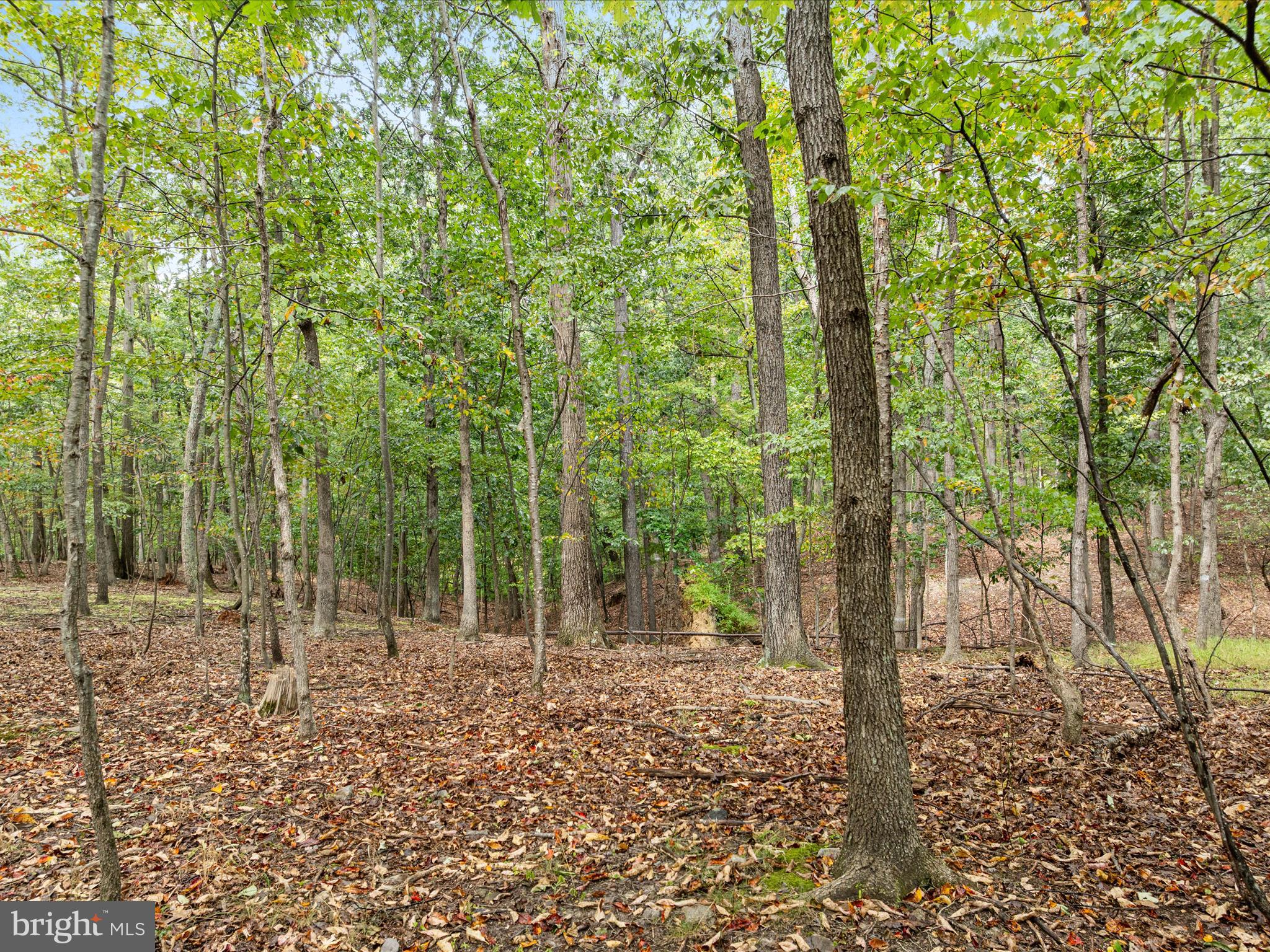 ROUND TOP ESTATES - Land