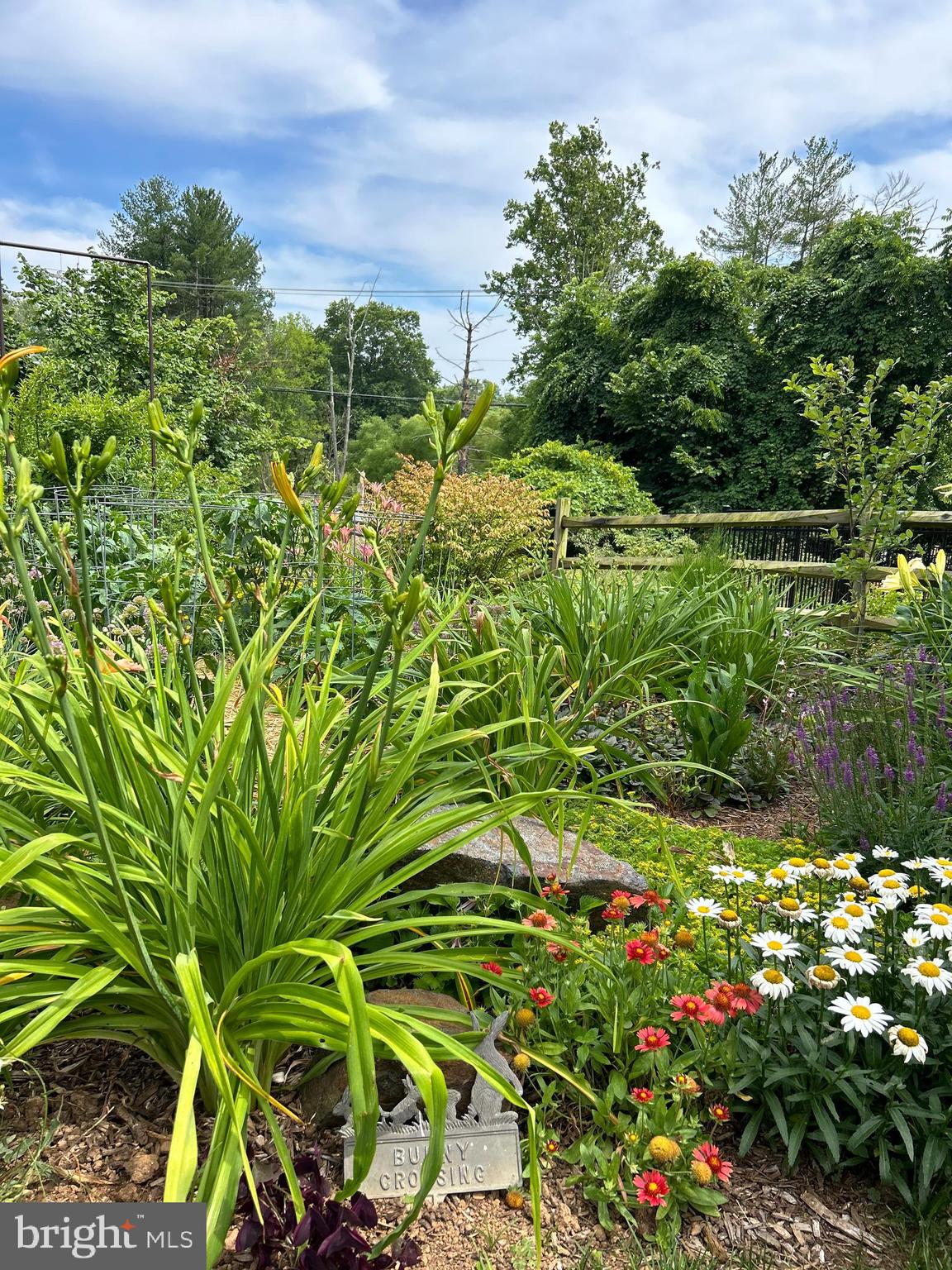 WOODLAND HILLS - Residential