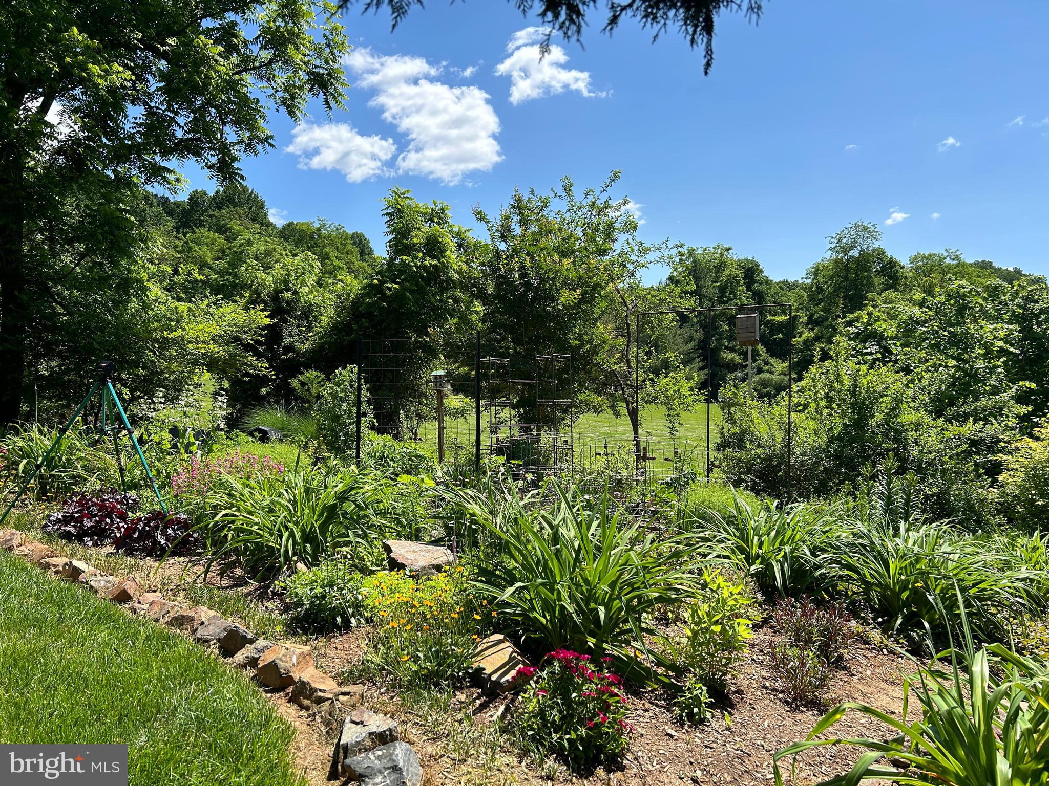 WOODLAND HILLS - Residential