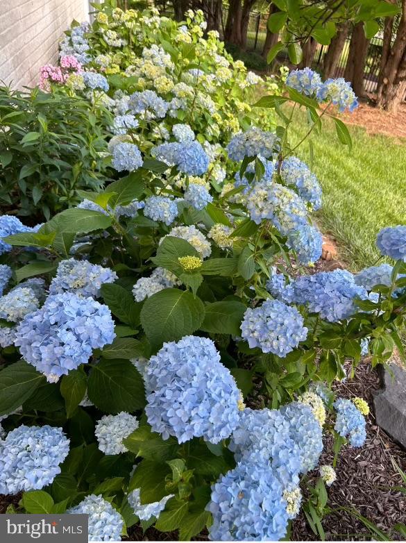 WOODLAND HILLS - Residential