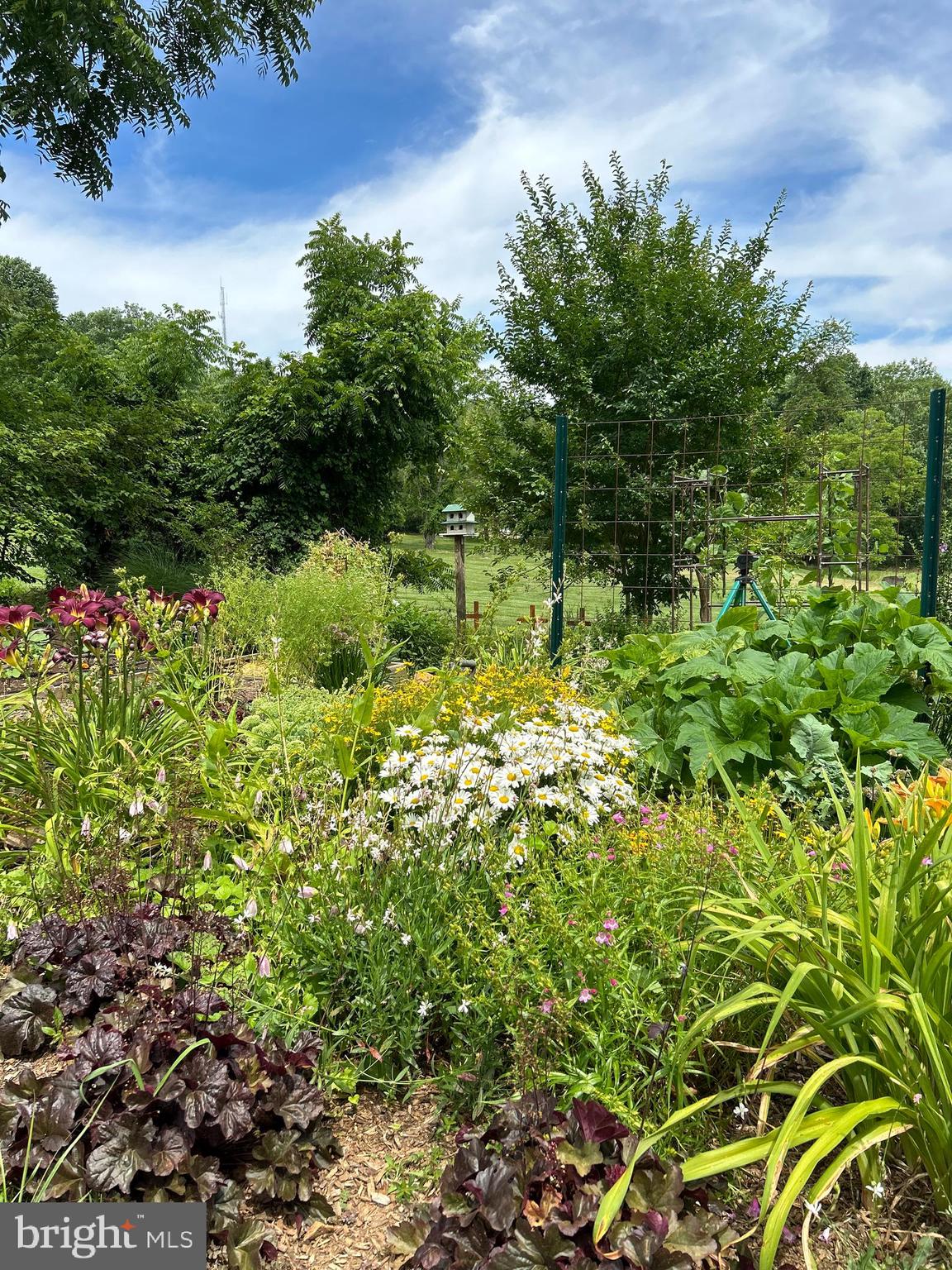 WOODLAND HILLS - Residential