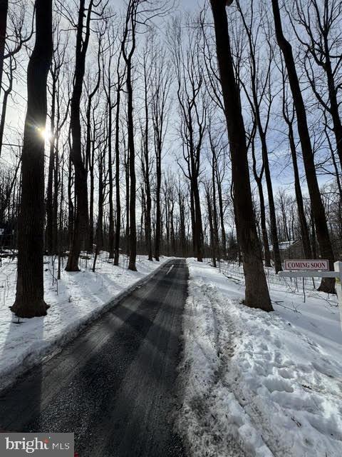 BLUE MOUNTAIN - Residential