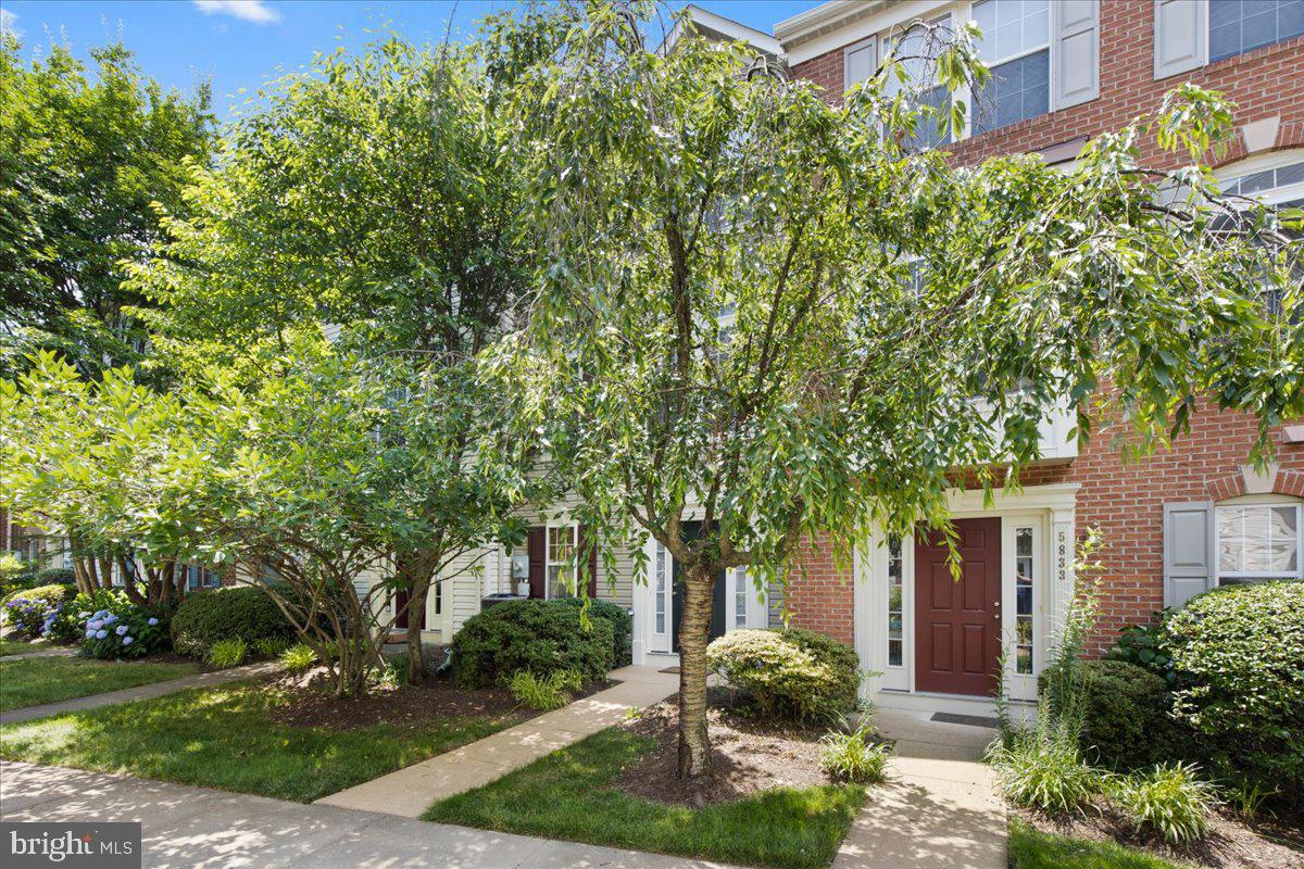 SUMMERS GROVE - Residential Lease