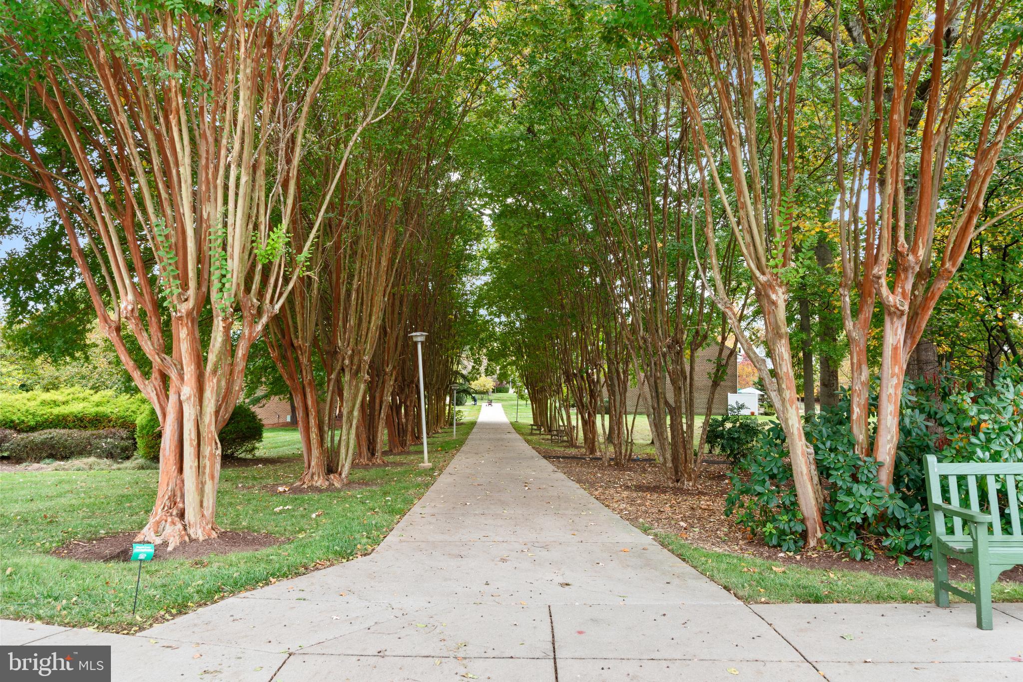 LEISURE WORLD - Residential