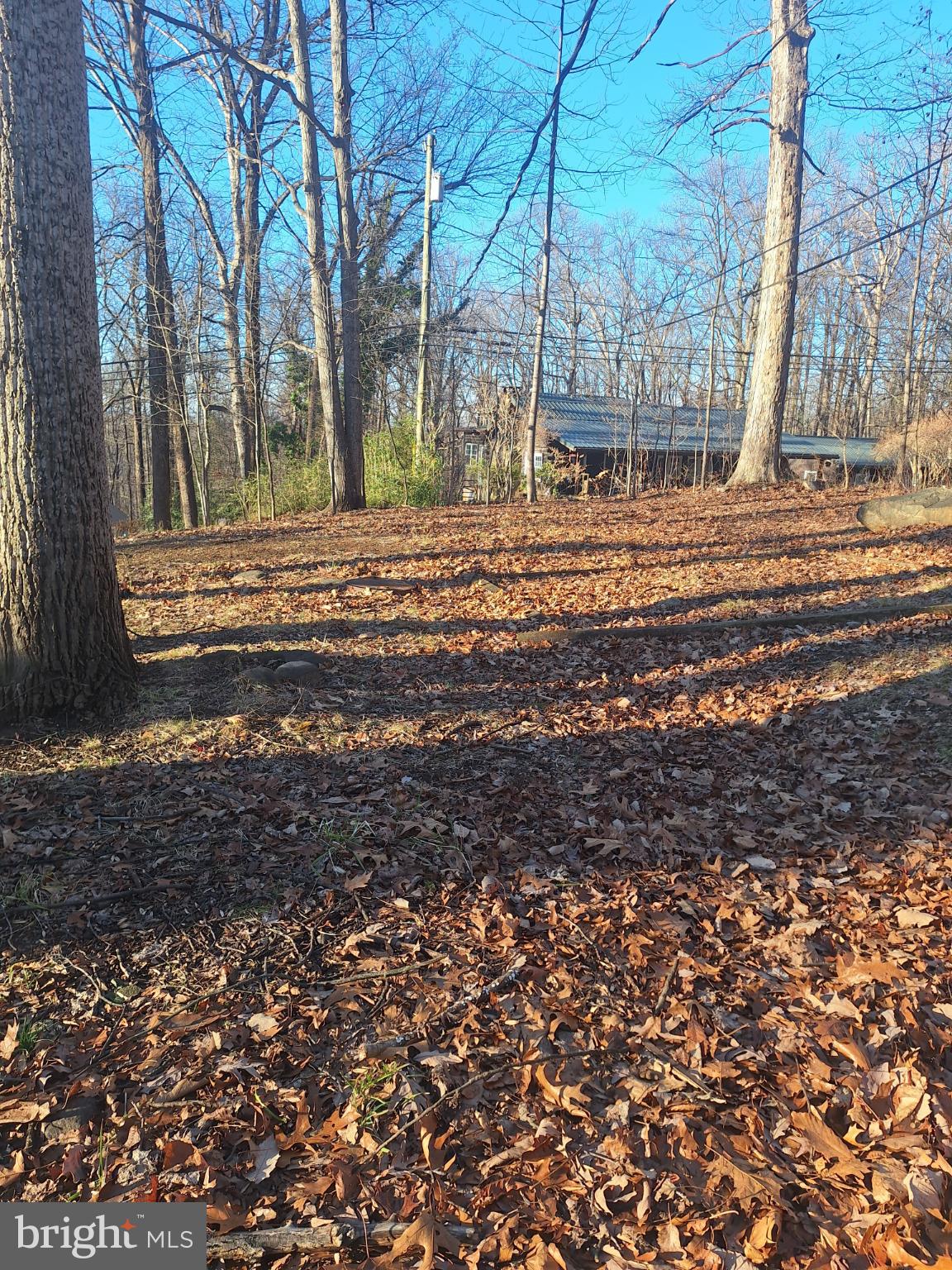 SHANNONDALE - Residential