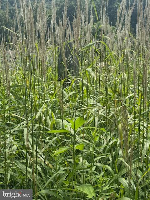 BRATTON - Residential