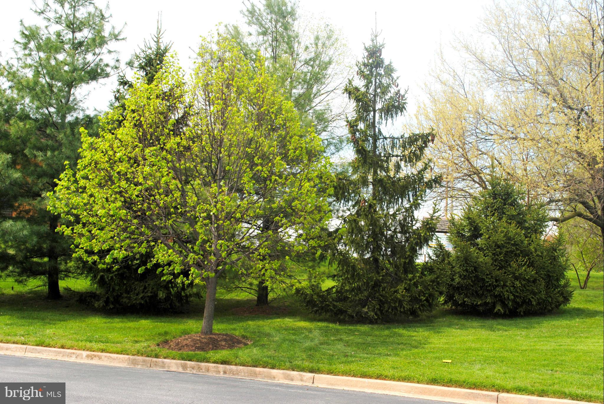 RIDGE COMMONS - Residential