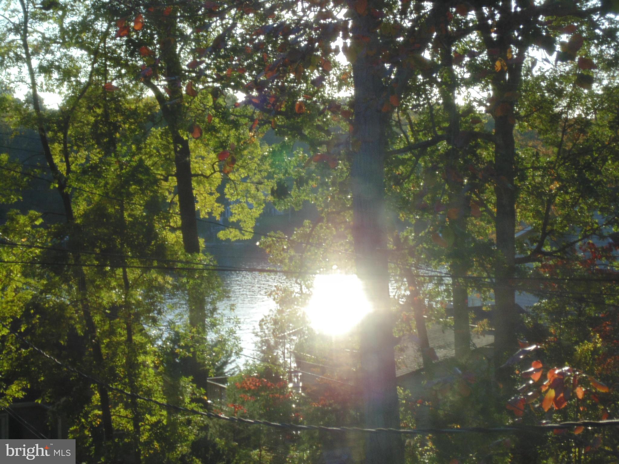 CARROLLTON MANOR - Residential