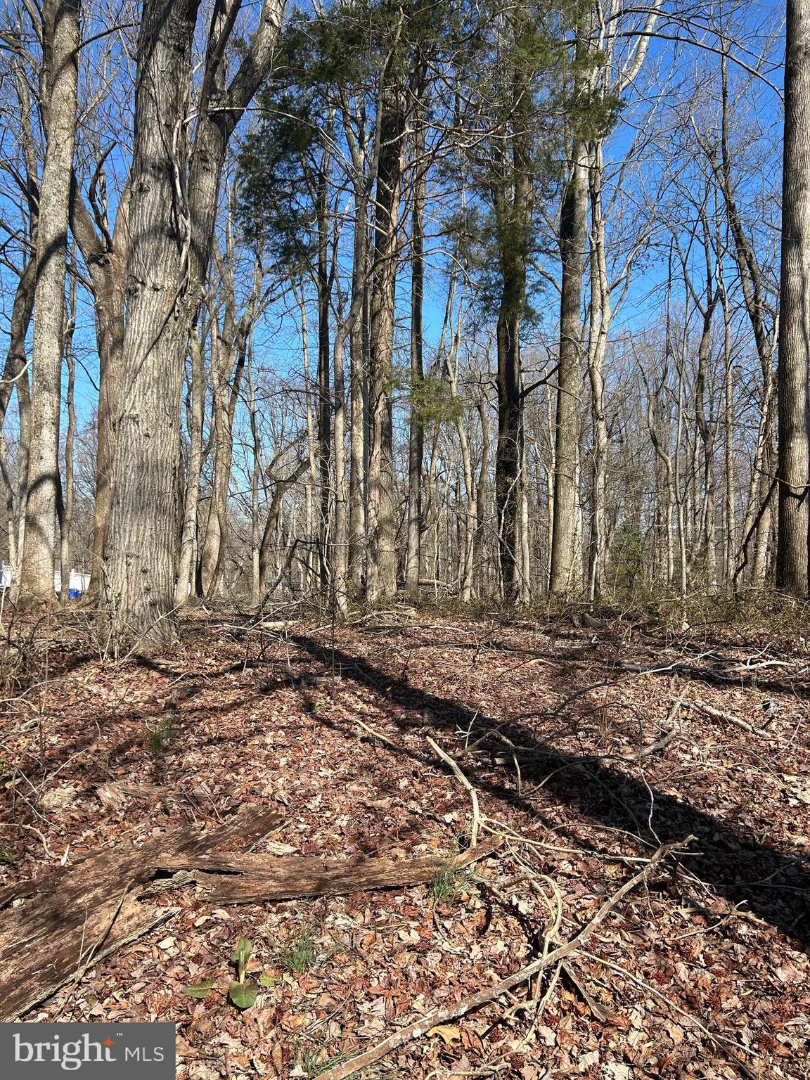 OLD SOUTH COUNTRY CLUB - Land