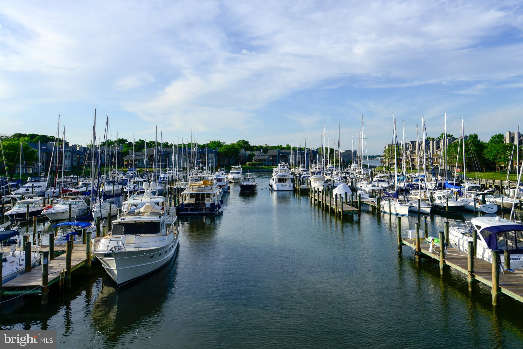 CHESAPEAKE HARBOUR - Residential