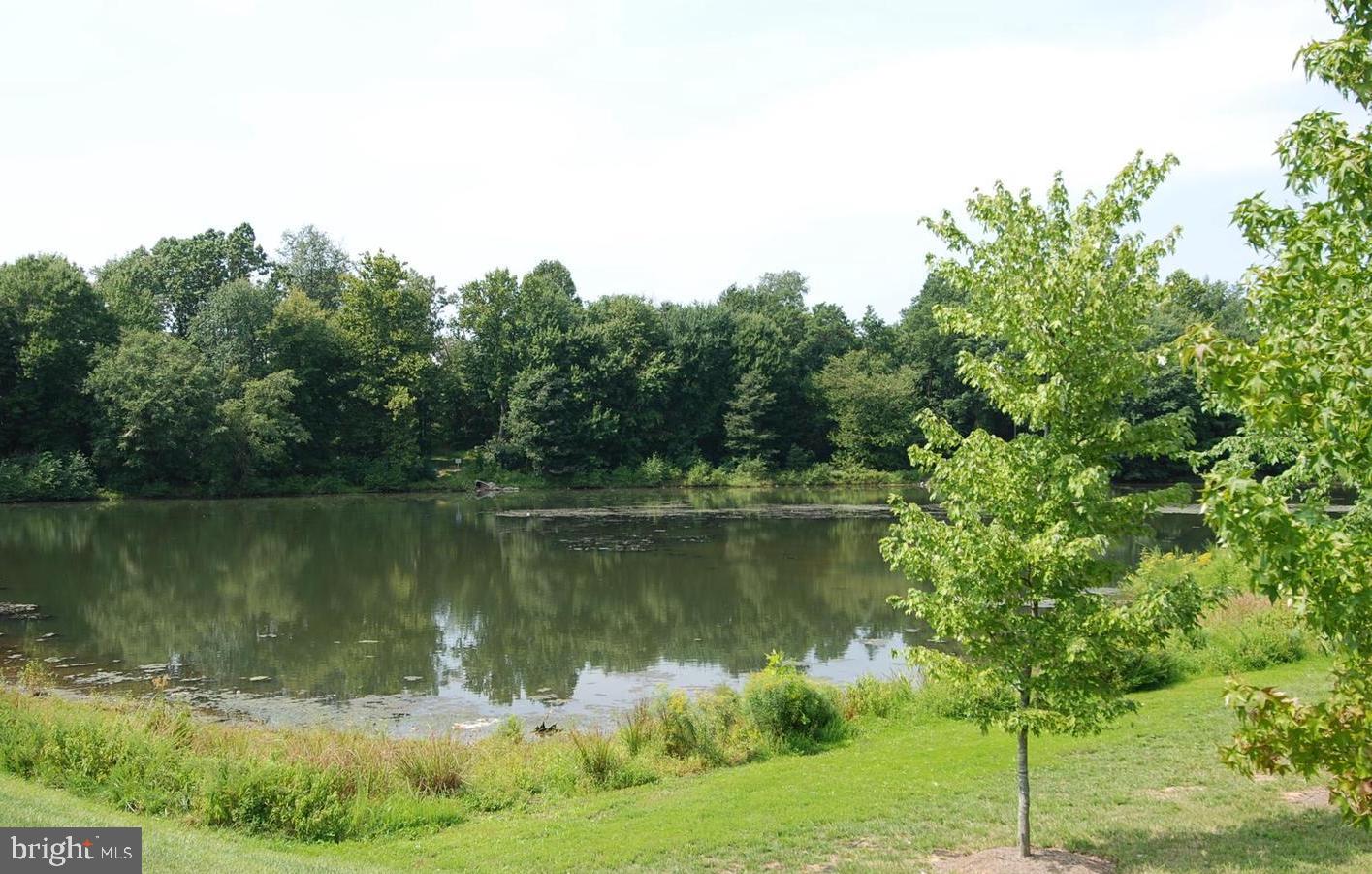 KENTLANDS - Residential