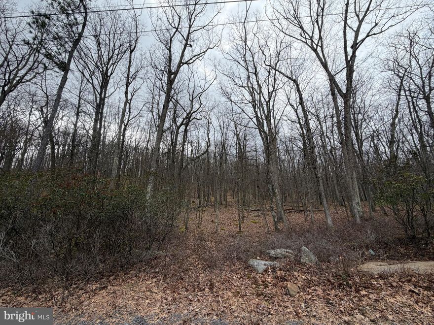 Cove Village is situated in the foothills of the Poconos and only 1 1/2 hours to New York.  Situated near the edge of the community this lot largely level but has enough slope for the possibility of a walk out basement and plenty of usable yard space.  If that's not enough the possibility to own the adjoining lot exists allowing for approximately 2+ acres.  With easy access to I-81, your commute to Hazleton, Wilkes-Barre, or Scranton is a breeze.  Bring your own builder and let's make your dreams come true.   Your building costs are lower here since public water and sewer are already in place, ready for you to connect through Aqua of Pa.  Do you desire a cabin or home where you can hunt, fish, ATV, snowmobile, and more?  How does approximately 750 acres of unoccupied prime hunting, ATV, and snowmobile riding land sound to you?  Yes, that's right!  Adjoining the residential portion of Cove Village is just that for residents of the community and their guests!  Driving through the community, the peace and tranquility will envelop you.  The homes vary from rustic cabins, chalets, traditional ranch, two-story homes, exquisite new construction, and even dreamy mountain log homes.  There really is something for everyone.  The approximately 278 acres of residential homes and lots are occupied by full-time residents, part-time vacation homes, and even some snowbird second homes.  Cove Village is located in the mountains of Northeastern Pennsylvania and offers an abundance of amenities including a swimming pool, stocked fishing lake, a basketball court, tennis courts, a volleyball court, 2 playgrounds, a baseball field, ATV paths, hunting, a mini golf course, walking paths, and year-round Community events.  I can't forget to mention the beautiful lodge ideal to rent for family gatherings.   This lot and community just might be exactly what you've been looking for.  Air B and B are not permitted. Camping on vacant lots is not permitted.  Mobile homes are not permitted.  The minimum square footage when building is 1400 square feet.  The community maintains the roads and snow removal.  Trash collection is also provided.   An appointment is required to view due to the gated community.  Call to schedule your tour today!