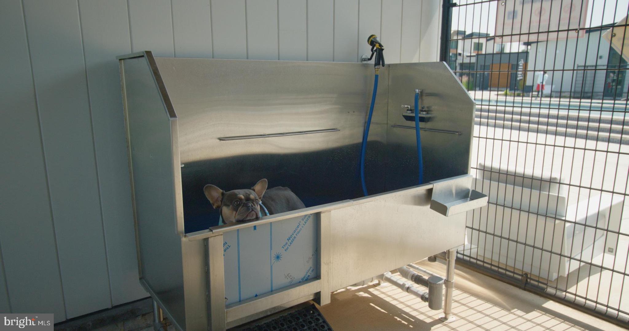 TANYARD SHORES - Residential