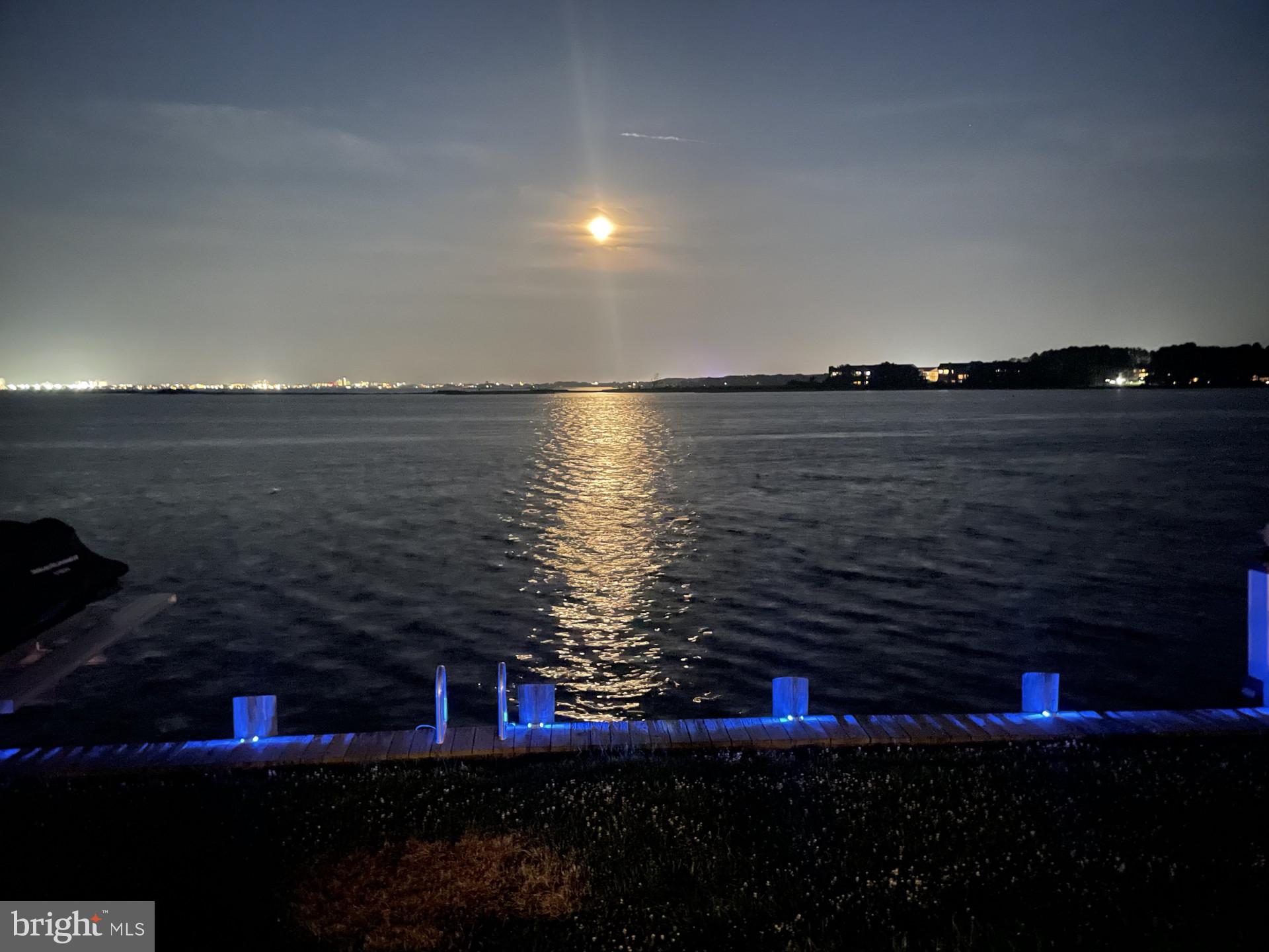 OCEAN PINES - WOOD DUCK II - Residential