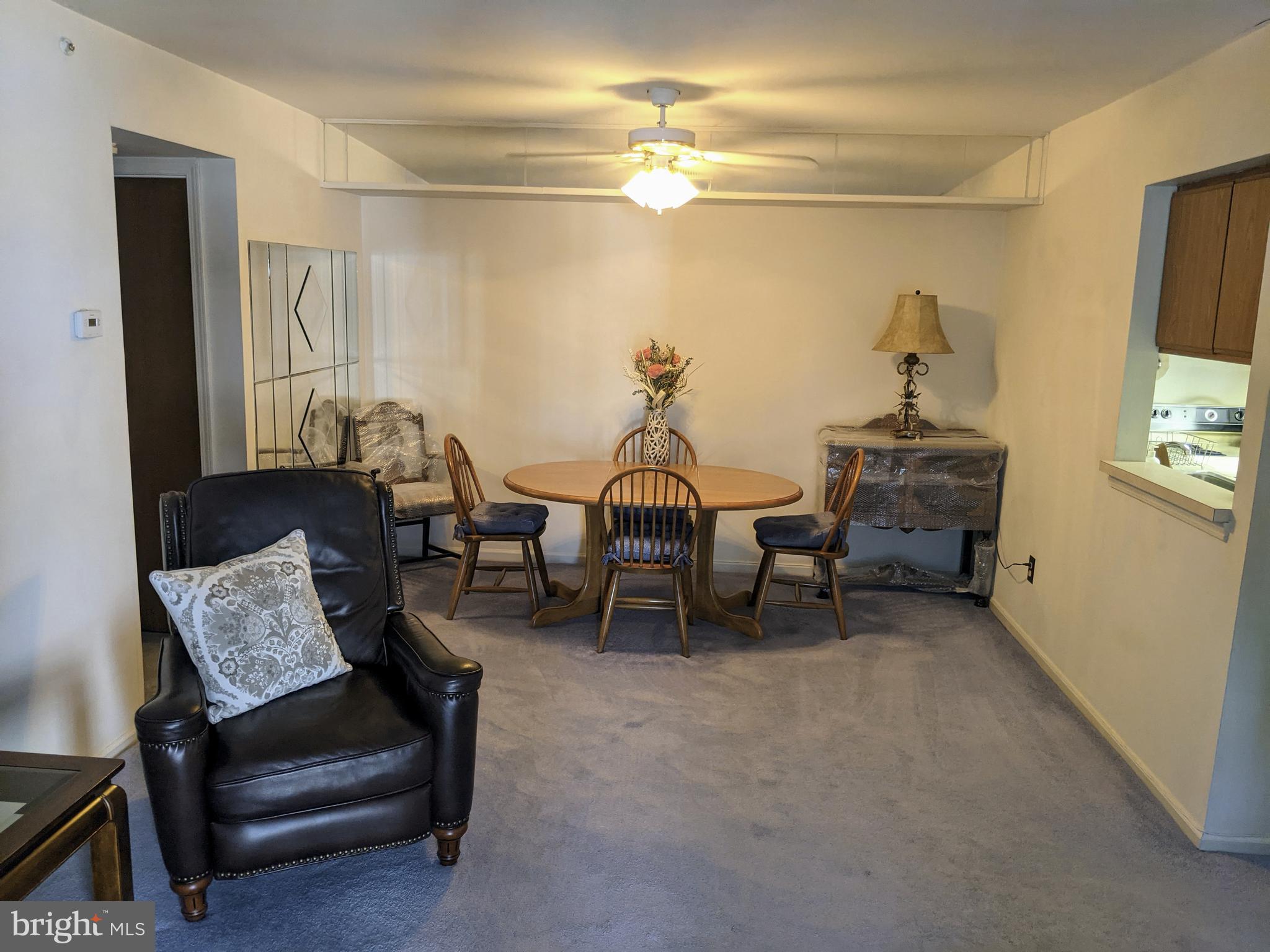 STEAMBOAT STATION - Residential