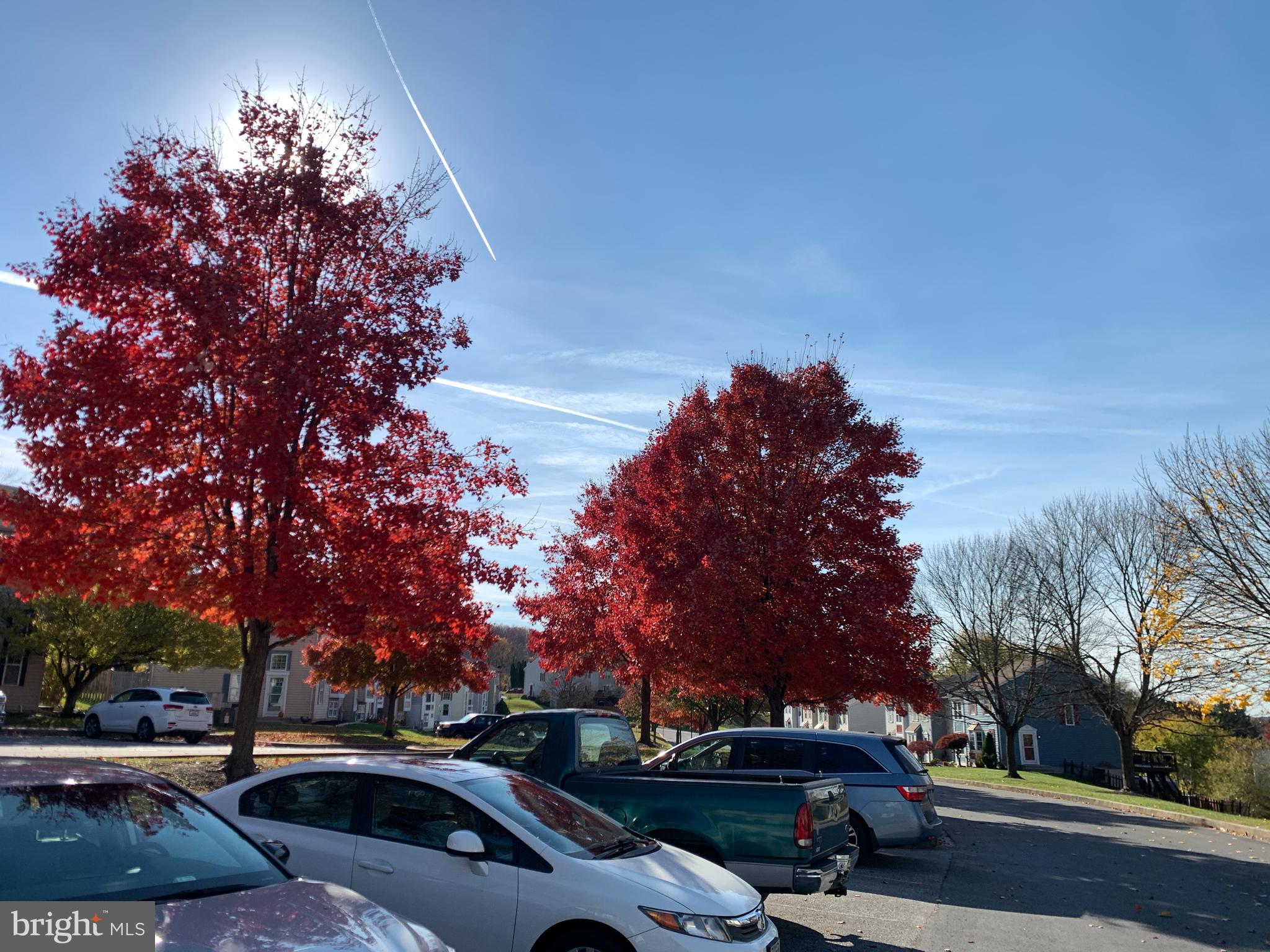 FURNACE HILLS - Residential Lease