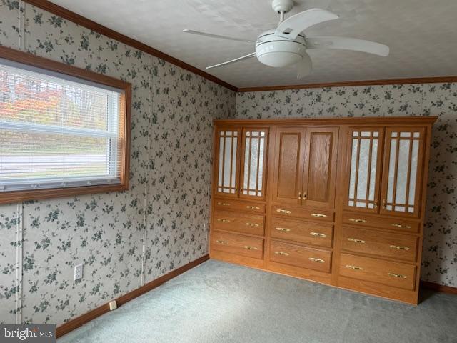 MORRISDALE - Residential