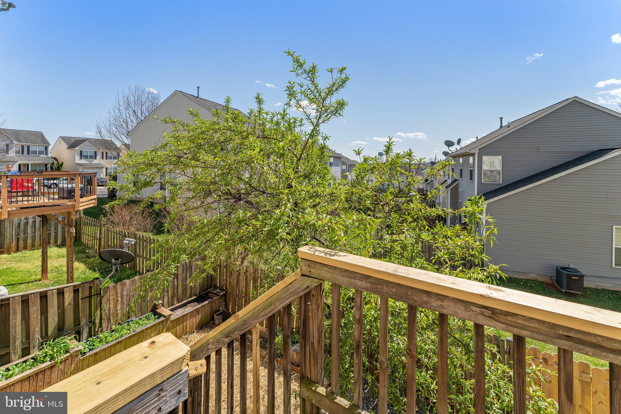 MEADOWS OF CULPEPER - Residential