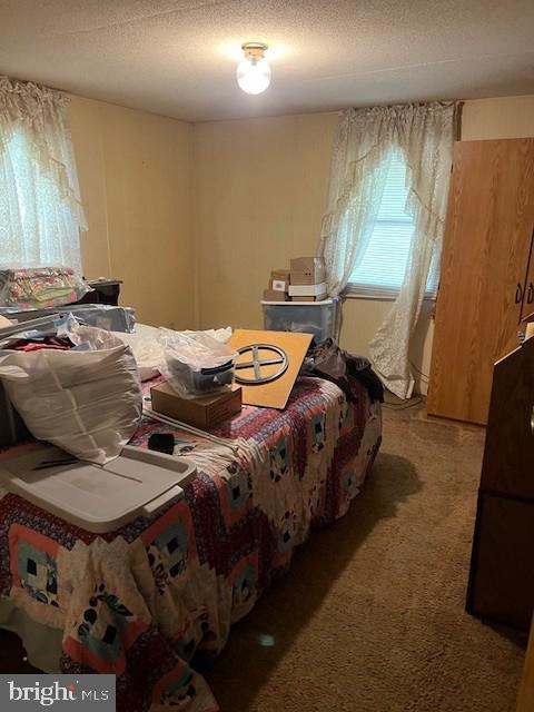 300 RIDGE ROAD TRLR 109