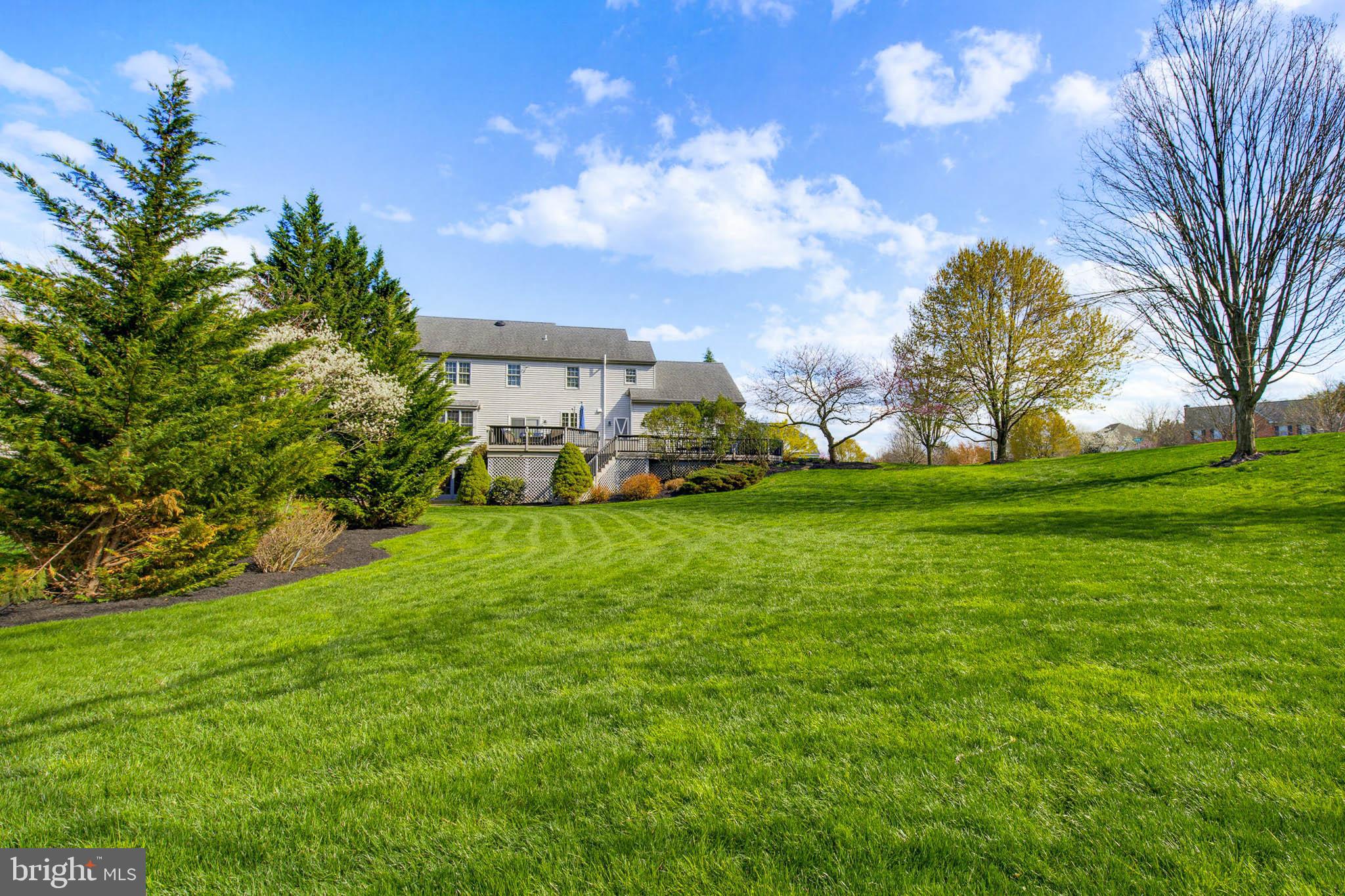 THE MEADOWS - Residential