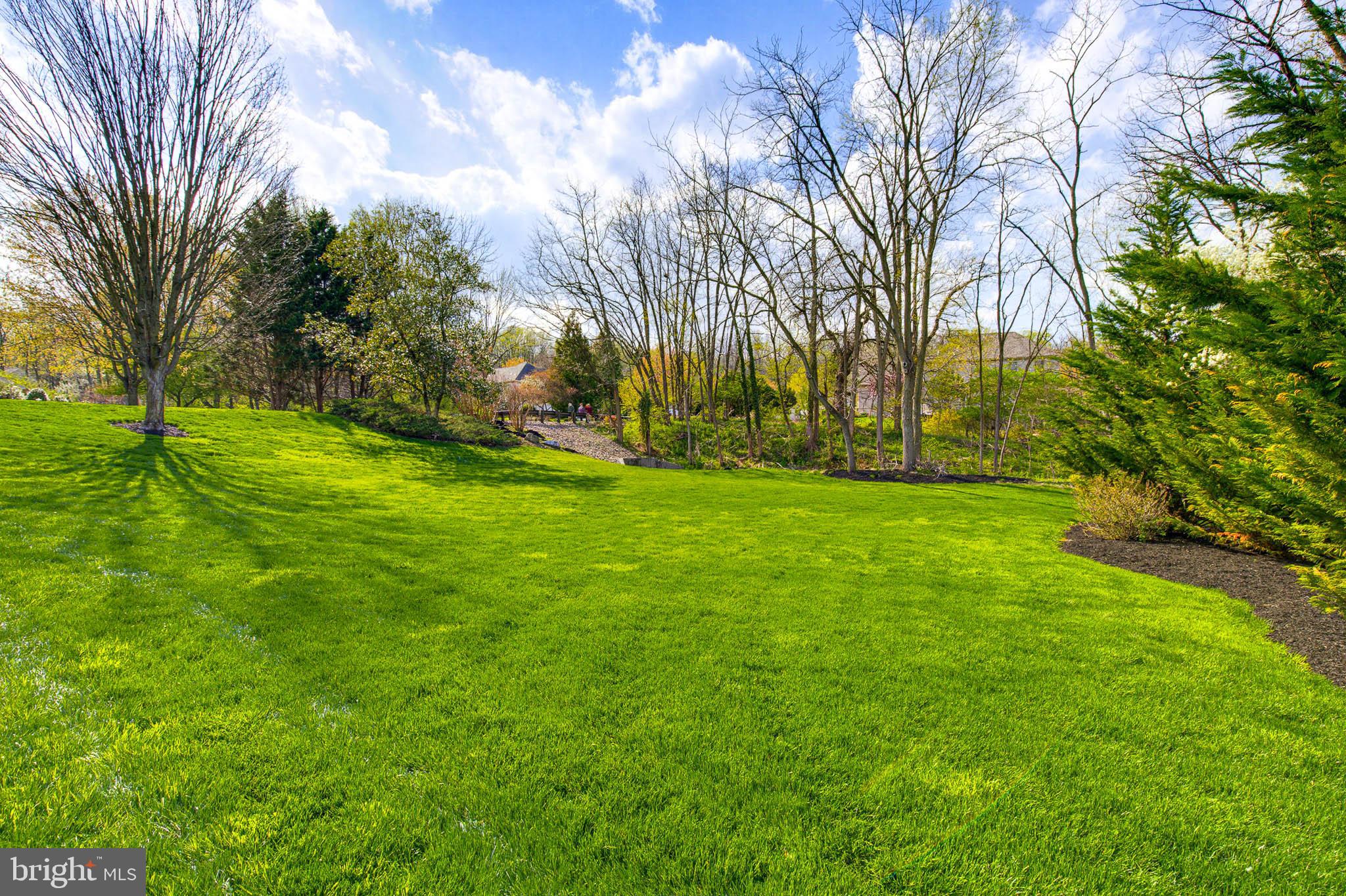 THE MEADOWS - Residential