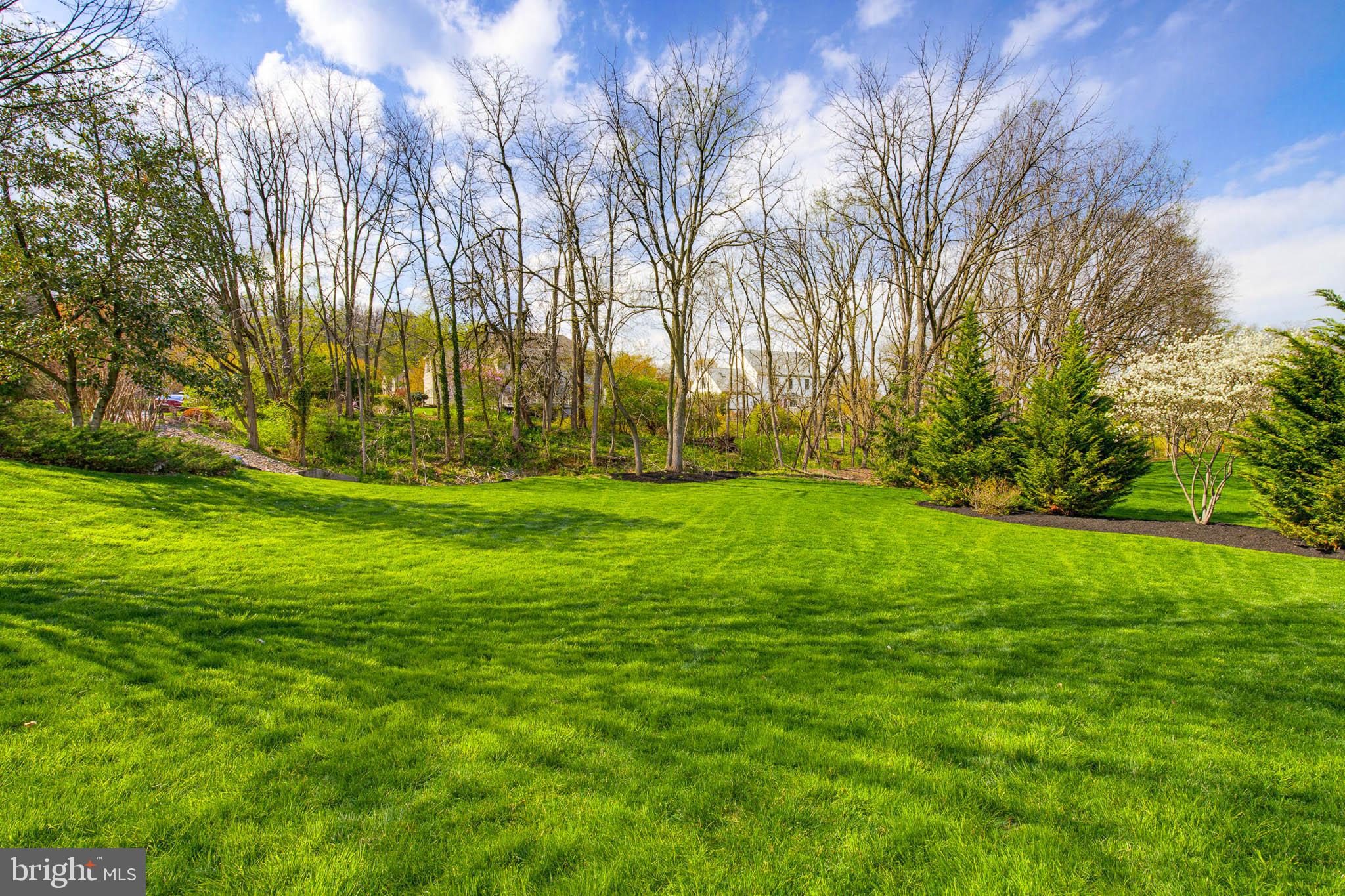 THE MEADOWS - Residential