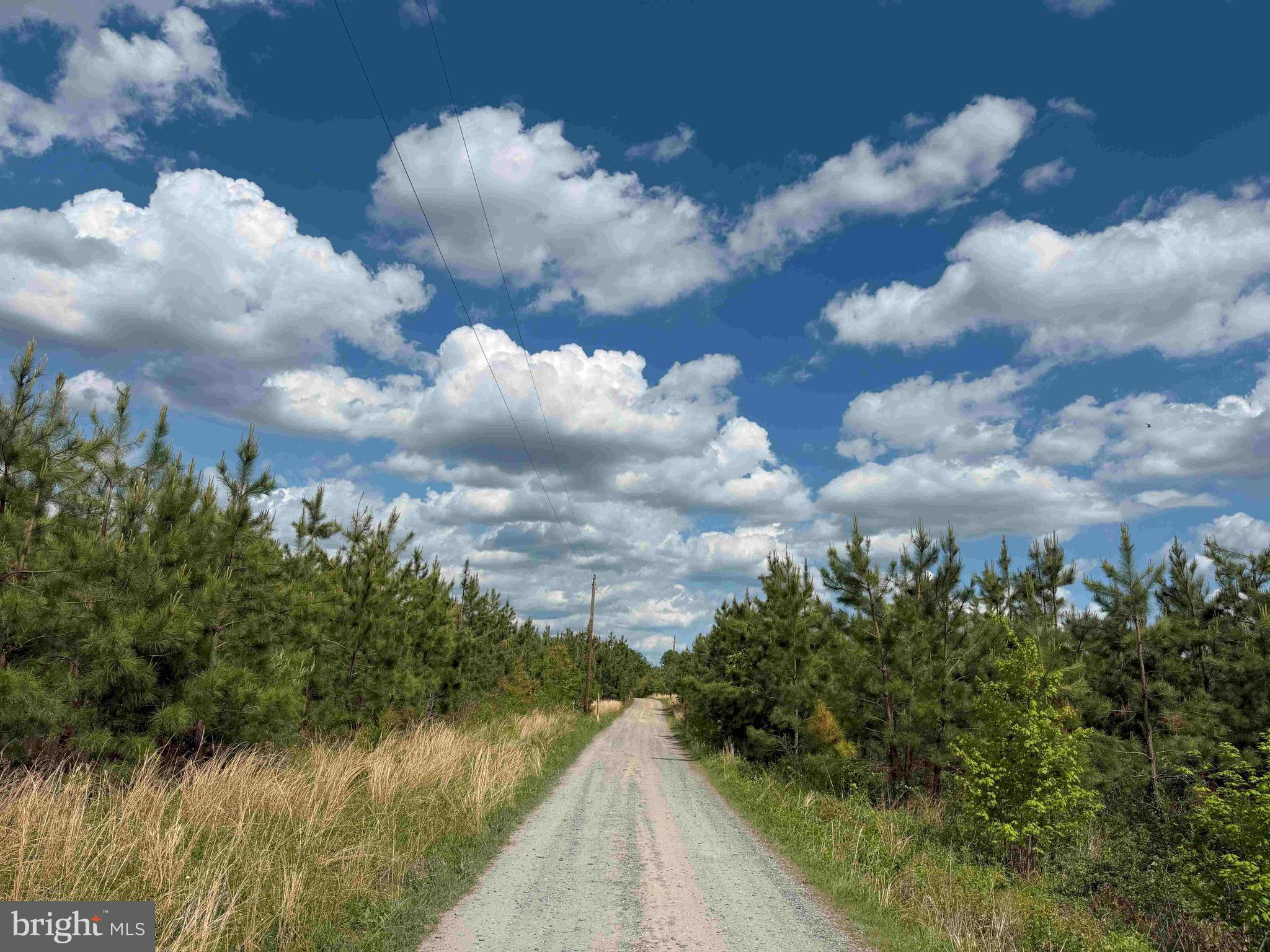 COMMERCE ROAD (RT 728) (TRACT: 5977 BALDWIN-CARTER