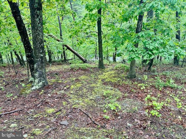 LAKE HOLIDAY ESTATES - Land