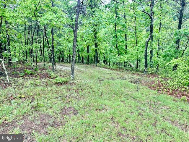 LAKE HOLIDAY ESTATES - Land