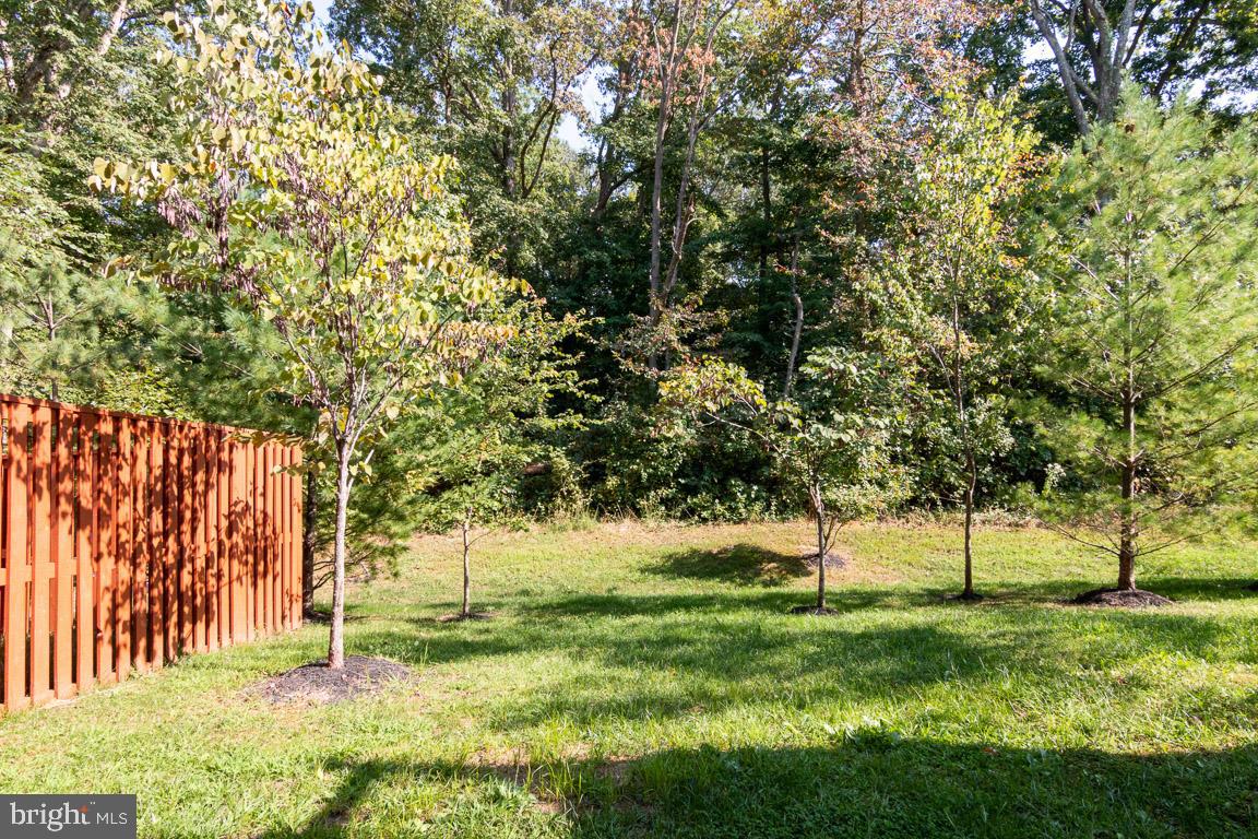 TANYARD SPRINGS - Residential Lease