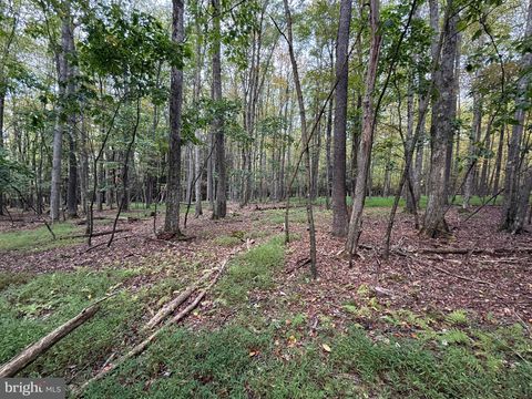 Vacant Land For Sale - Lake Shore Drive<br/> OAKLAND, MD 21550