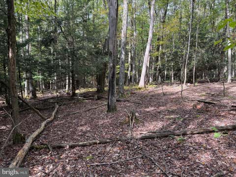 Vacant Land For Sale - Lake Shore Drive<br/> OAKLAND, MD 21550