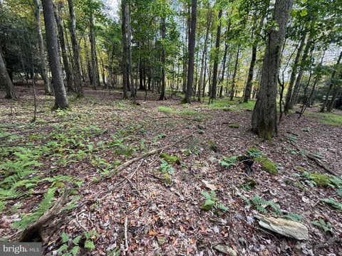 Vacant Land For Sale - Lake Shore Drive<br/> OAKLAND, MD 21550