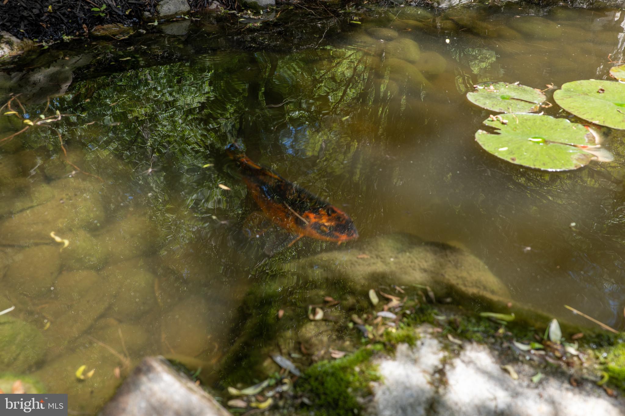 STEVENSON - Residential