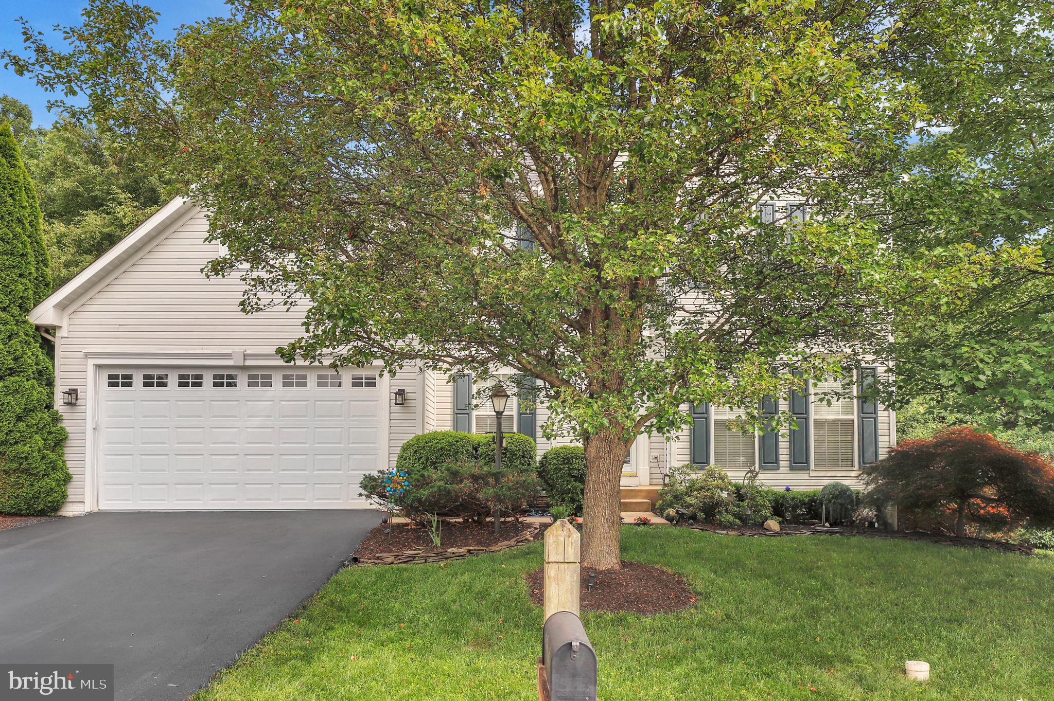 6465 FOREST HILLS COURT