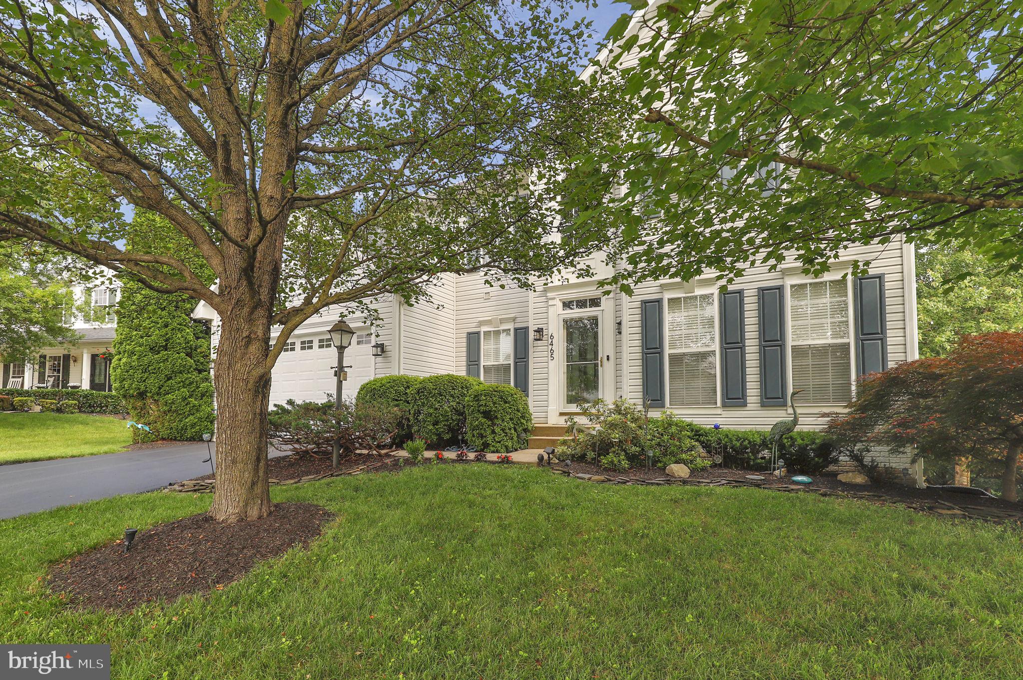 6465 FOREST HILLS COURT