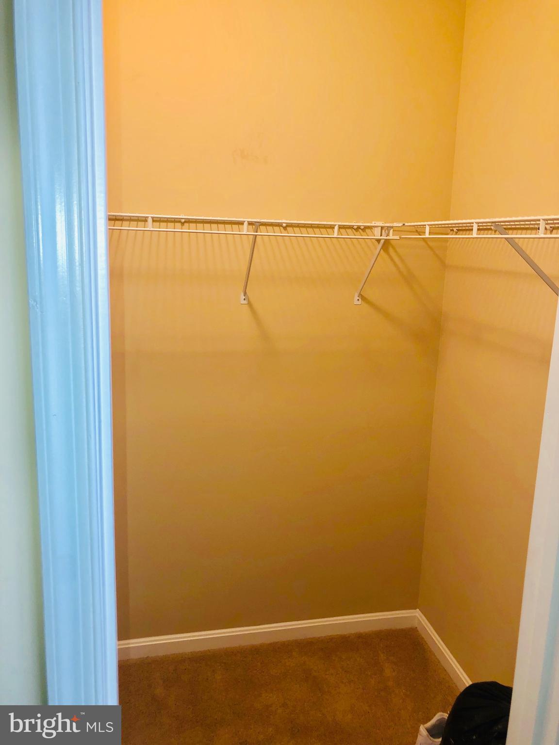 BRISTOL PARK - Residential